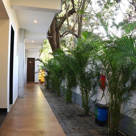 La Vera Boutique Hotel, Mandrem Exterior foto